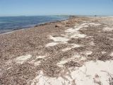 F 083 Fremantle