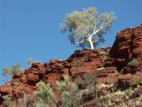 A 133 Karijini