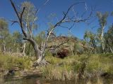 A 138 Karijini
