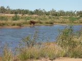 A 148 Karijini