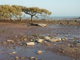 B 005 Broome