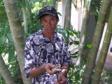 B 044a Saltie