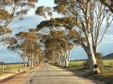 A 031 around Perth