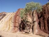 B 185 West MacDonnells Ranges