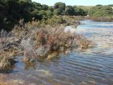 A 034 Rottnest Island