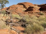 B 206  Kings Canyon