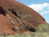 B 224 Ayers Rock