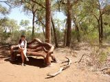 B 233  Ayers Rock