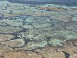 A 042 Rottnest Island
