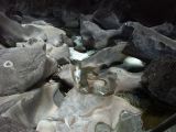 C 102 Josephine Falls