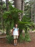 C 198 Fraser Island