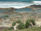 C 209 Fraser Island