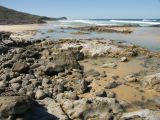 C 211 Fraser Island