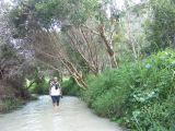 C 216 Fraser Island