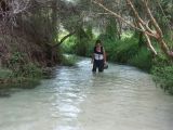 C 217 Fraser Island