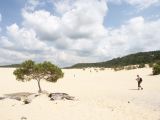 C 220 Fraser Island