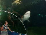 D 015 Aquarium Moololaba