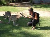 D 049 Brisbane