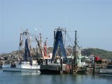 D 090 Coffs Harbour