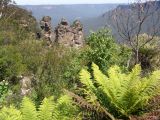 D 122 Blue Mountains