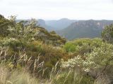 D 143 Blue Mountains