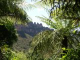 D 145 Blue Mountains