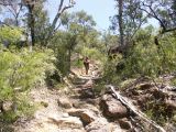 D 150 Blue Mountains