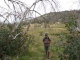 E 013 Alpine National Park