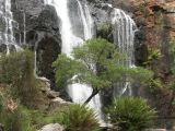 E 077 Halls Gap