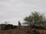 E 090 Broken Hill