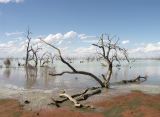 E 100 Broken Hill