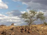 E 102 Broken Hill