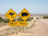 E 146 Nullarbor
