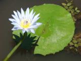 PICT8762