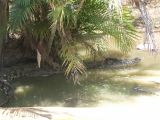 PICT1881