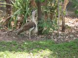 Wildlife Park_6