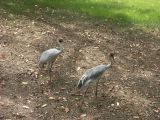 Wildlife Park_19