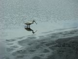 Wildlife Park_23
