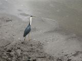Wildlife Park_48