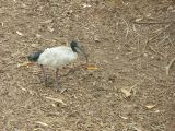 Wildlife Park_60