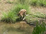 Wildlife Park_68