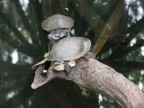 Wildlife Park_77