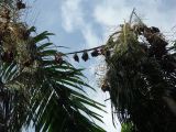 Wildlife Park_83