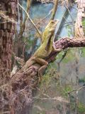 Wildlife Park_103