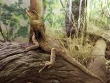 Wildlife Park_109