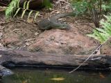Wildlife Park_111