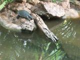 Wildlife Park_112