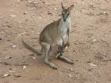Mataranka_43
