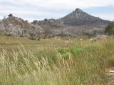 Mount Buffalo National Park