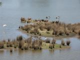 Lac Hume